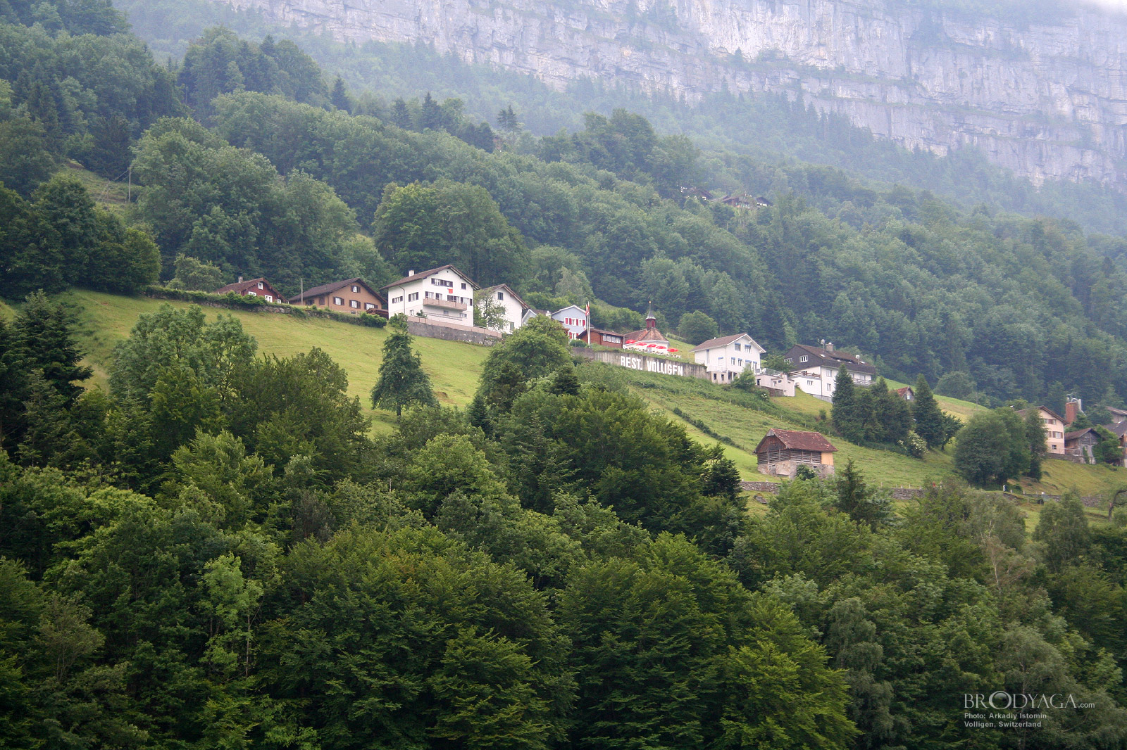 Treib
